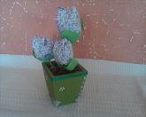 Vaso Tulipa