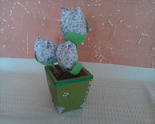 Vaso Tulipa